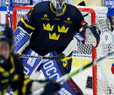 Namnlös design (11)